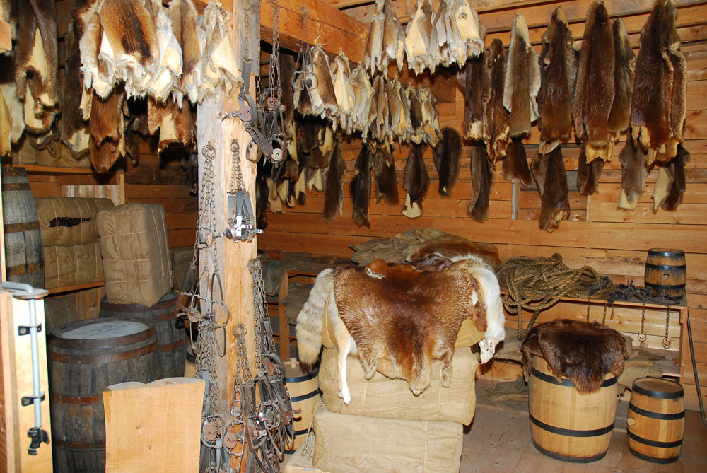 Бобровые шкурки. Fort Edmonton Park. Edmonton, 2012