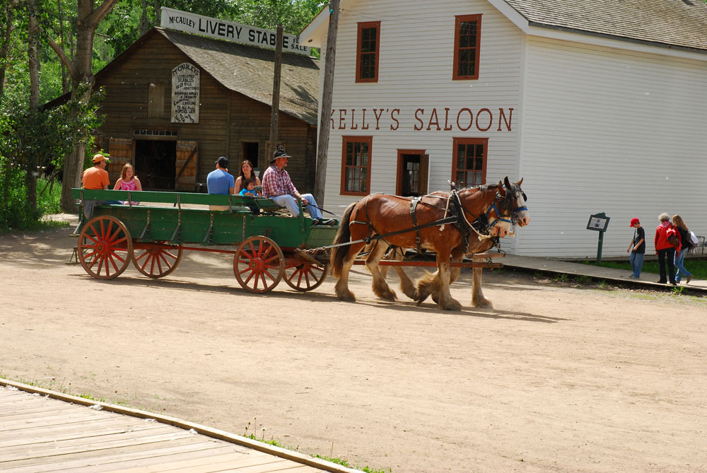 Лохматые лошадки катают туристов. Fort Edmonton Park. Edmonton ,2012