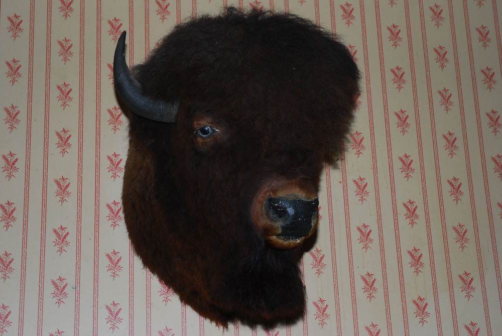 Трофеи. Fort Edmonton Park. Edmonton, 2012