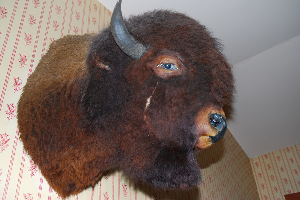 Трофеи. Fort Edmonton Park. Edmonton, 2012